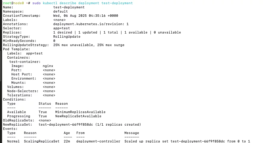 Deployment 详细信息
